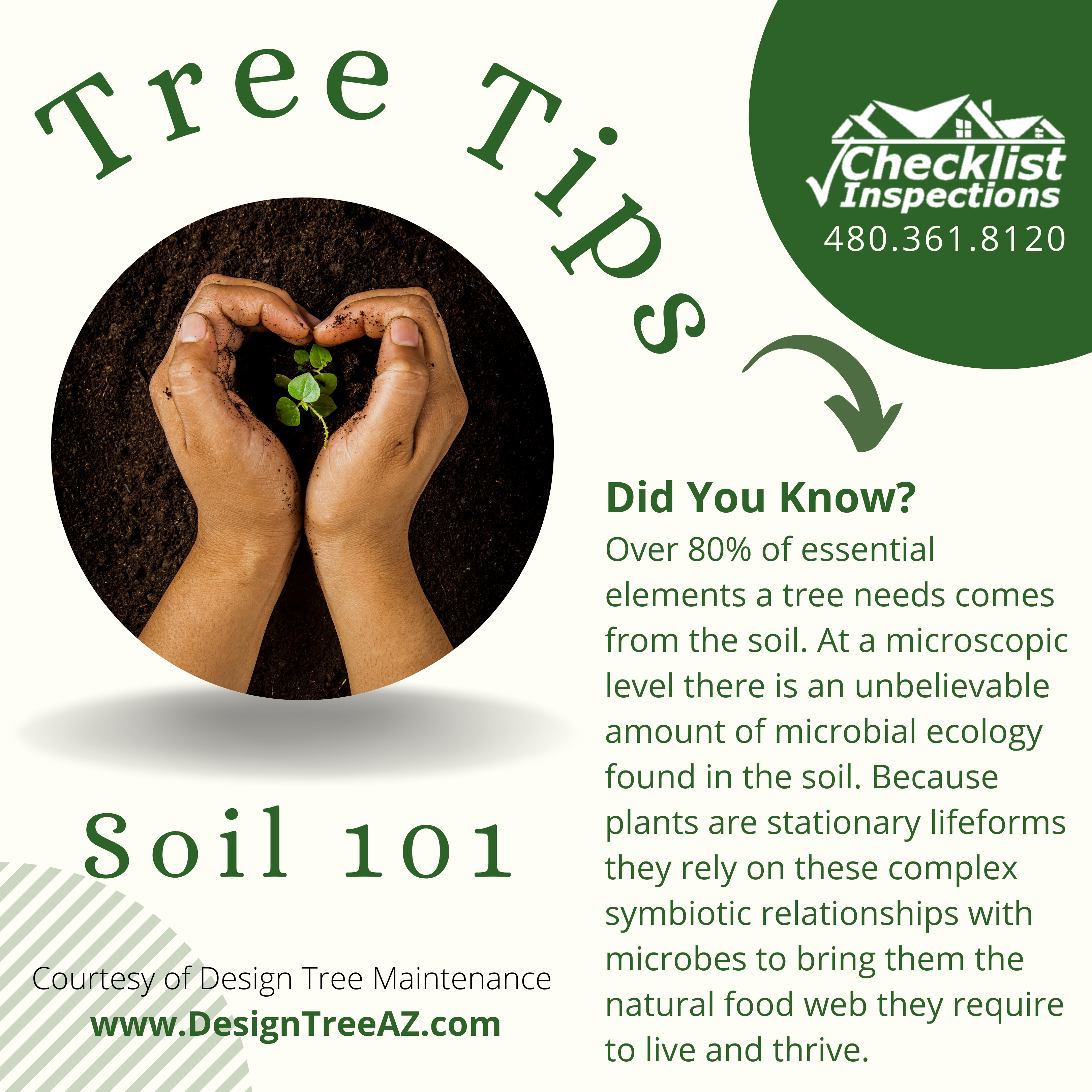 TreeTips_Soil101-Instagram-Post