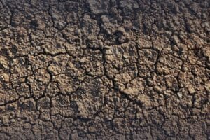 A close-up view of dry, heavily cracked earth and parched desert soil.