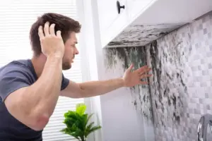 signs of mold inspection